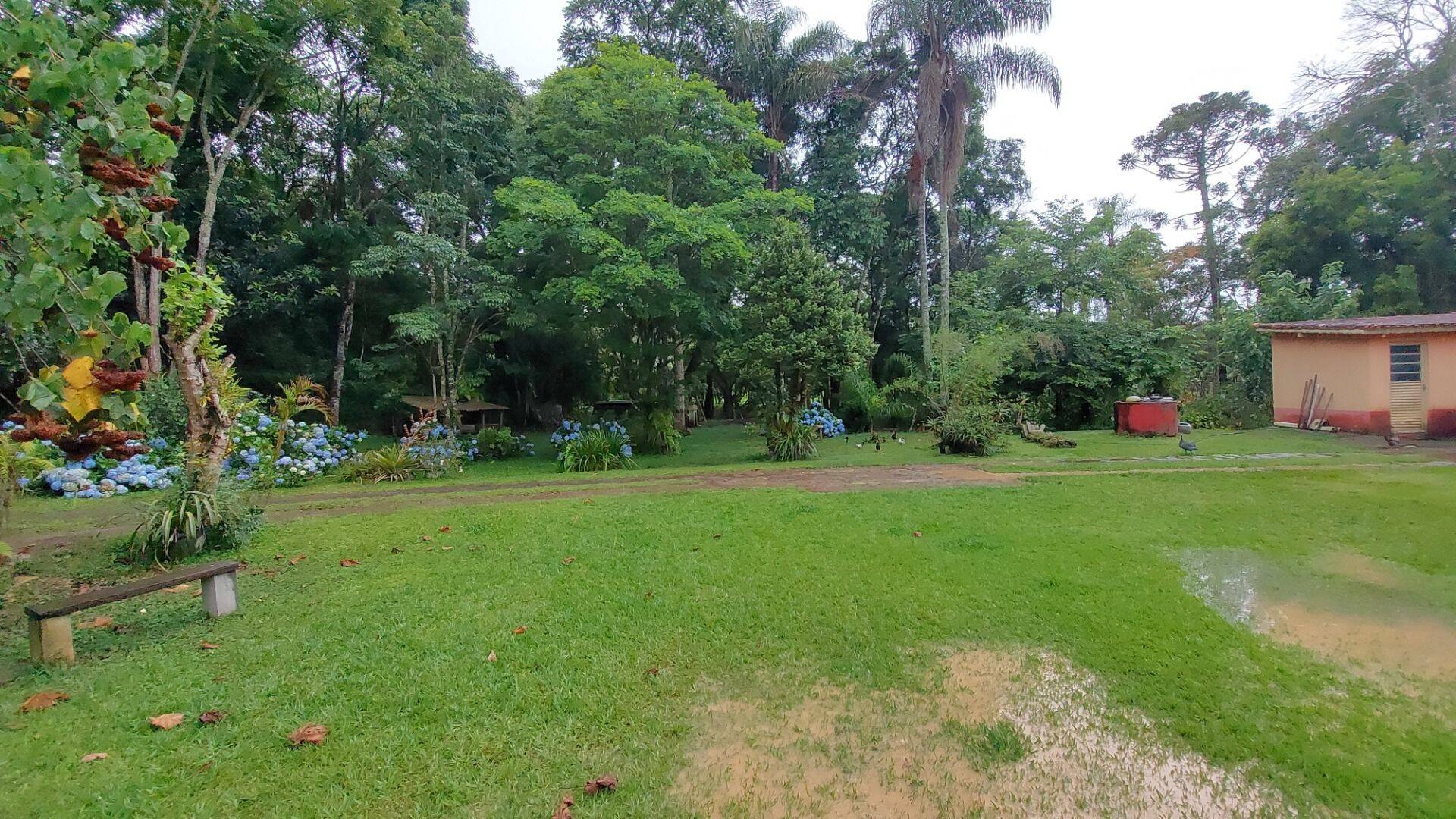 Chácara, 4 quartos, 8000 m² - Foto 7