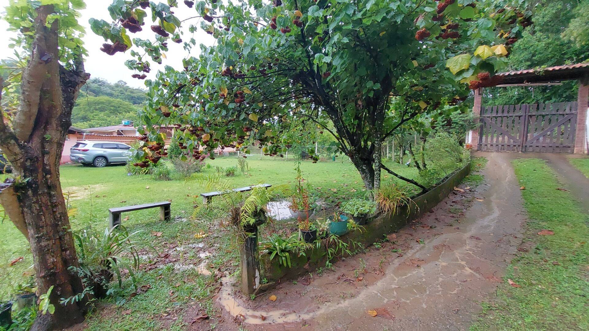 Chácara, 4 quartos, 8000 m² - Foto 10
