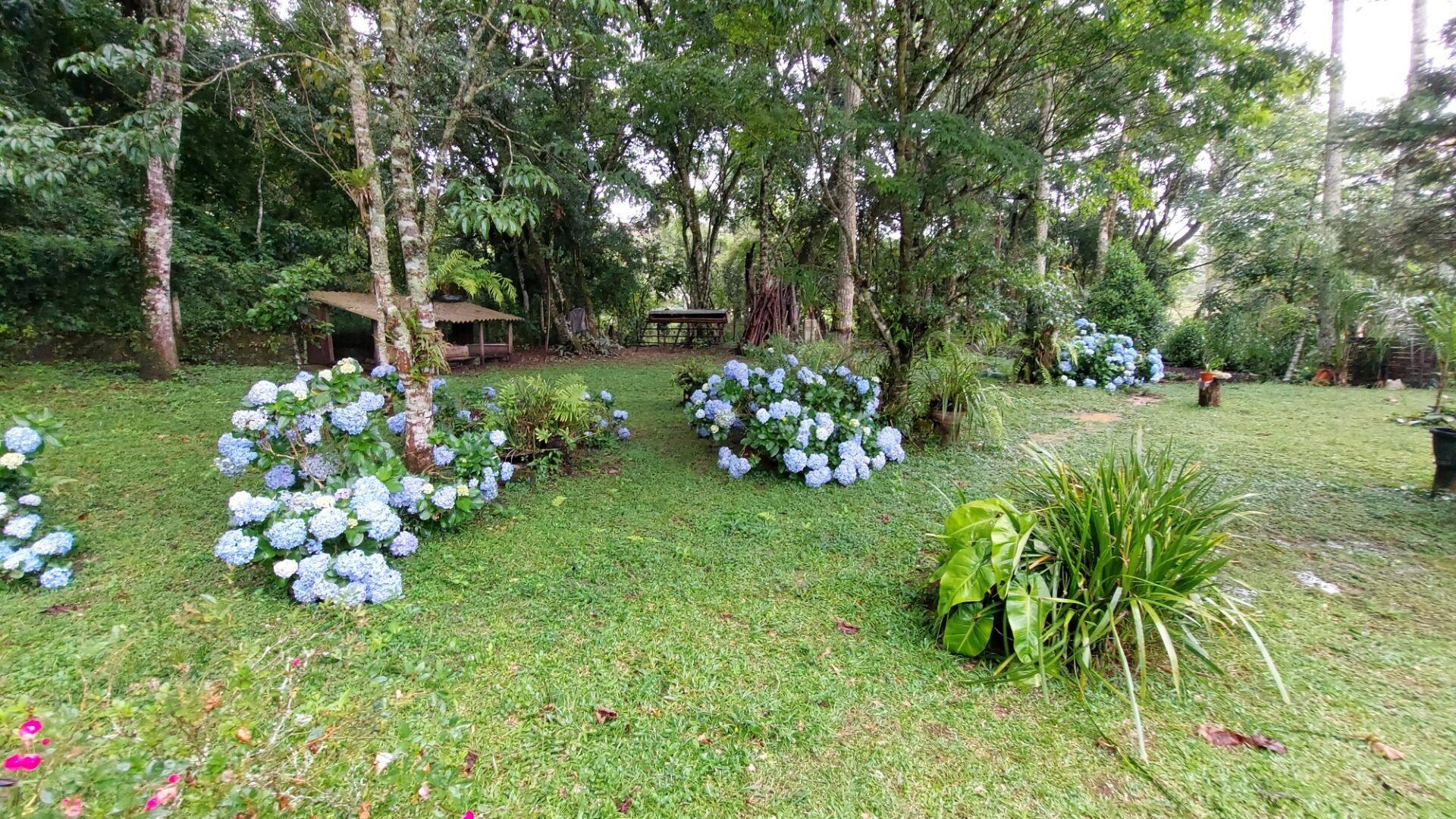 Chácara, 4 quartos, 8000 m² - Foto 11