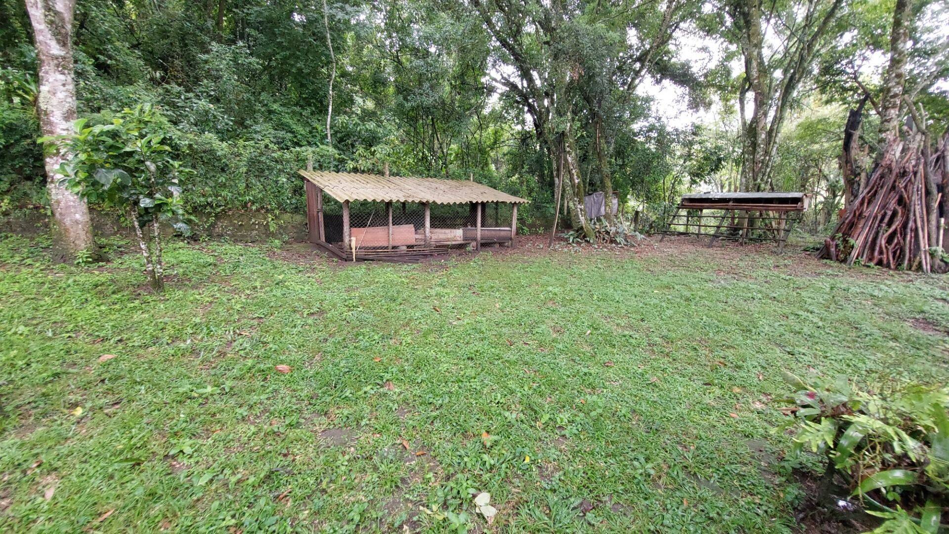 Chácara, 4 quartos, 8000 m² - Foto 12