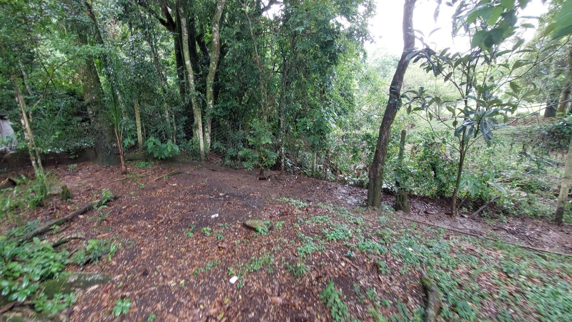 Chácara, 4 quartos, 8000 m² - Foto 13