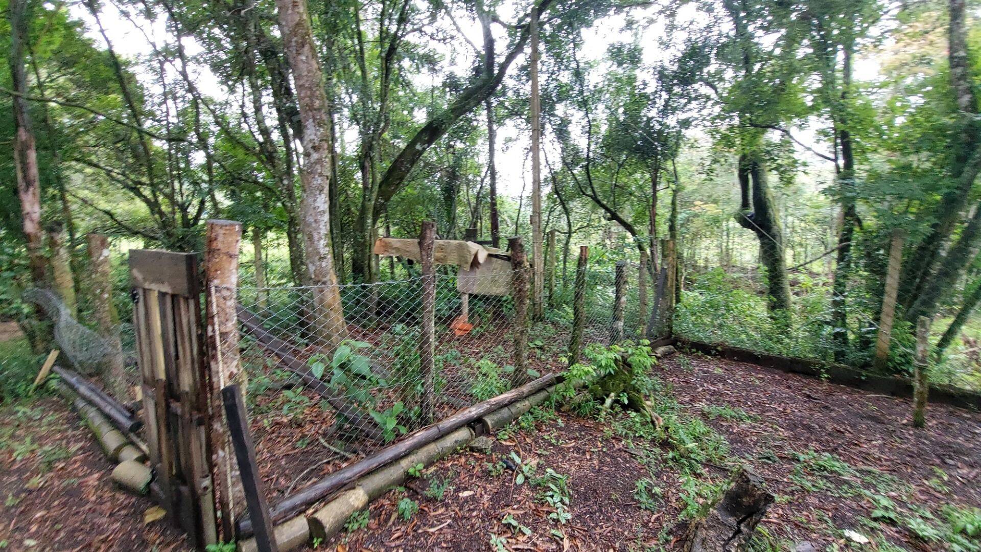 Chácara, 4 quartos, 8000 m² - Foto 15