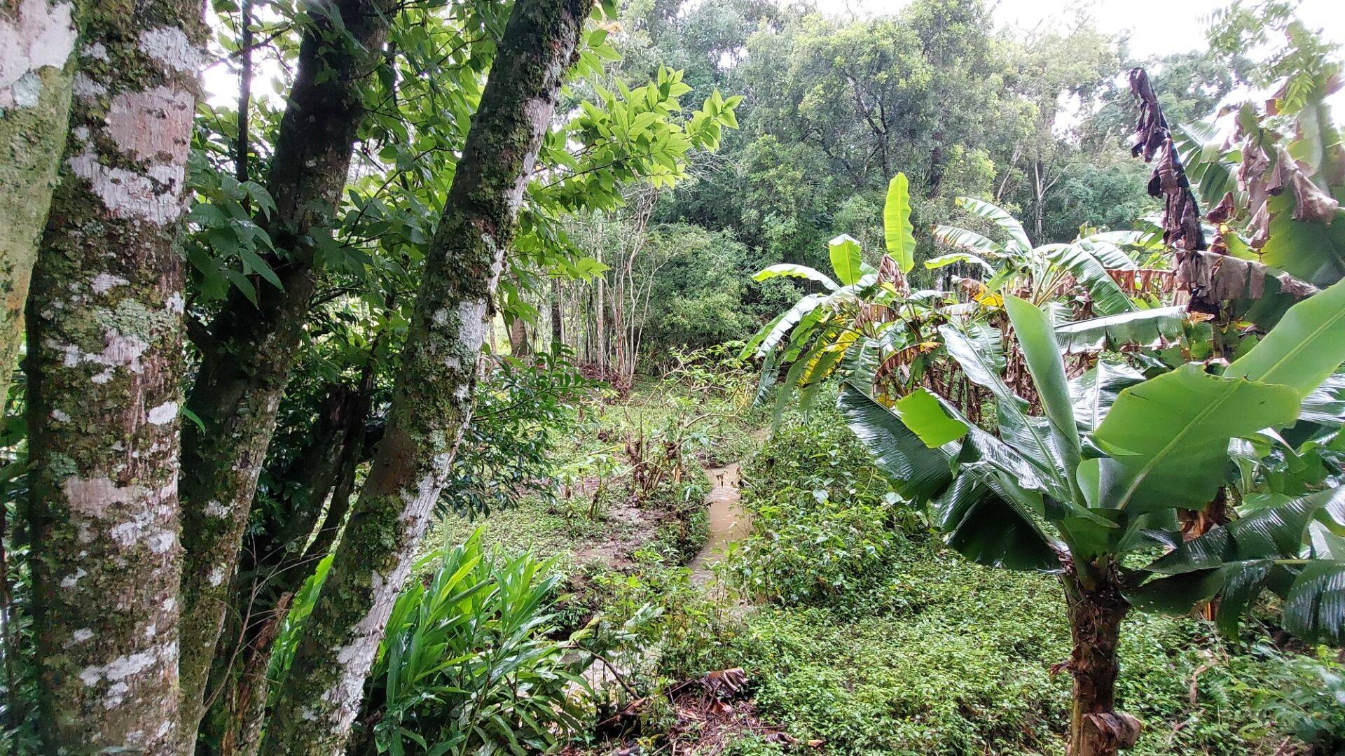 Chácara, 4 quartos, 8000 m² - Foto 16