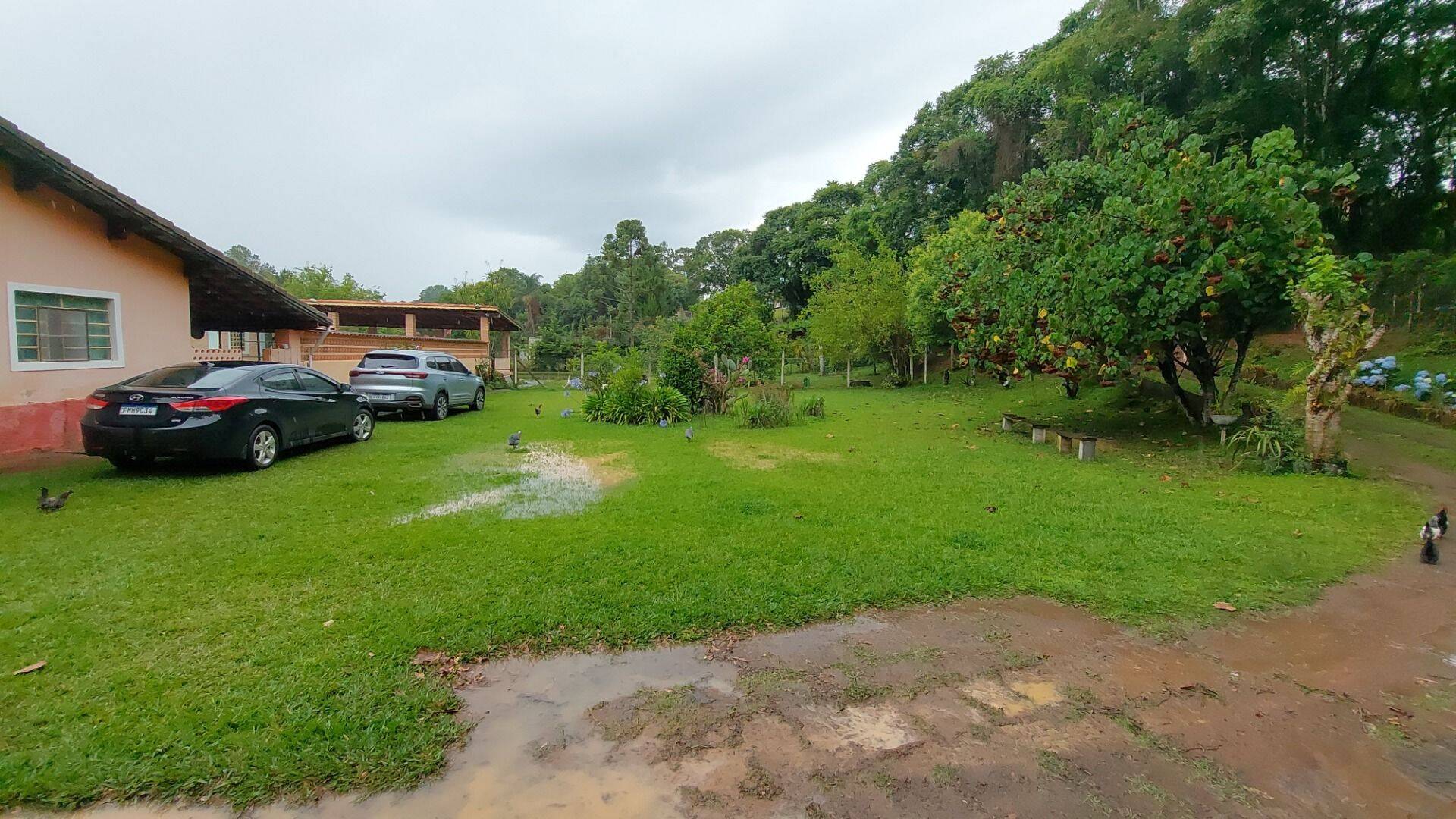 Chácara, 4 quartos, 8000 m² - Foto 18