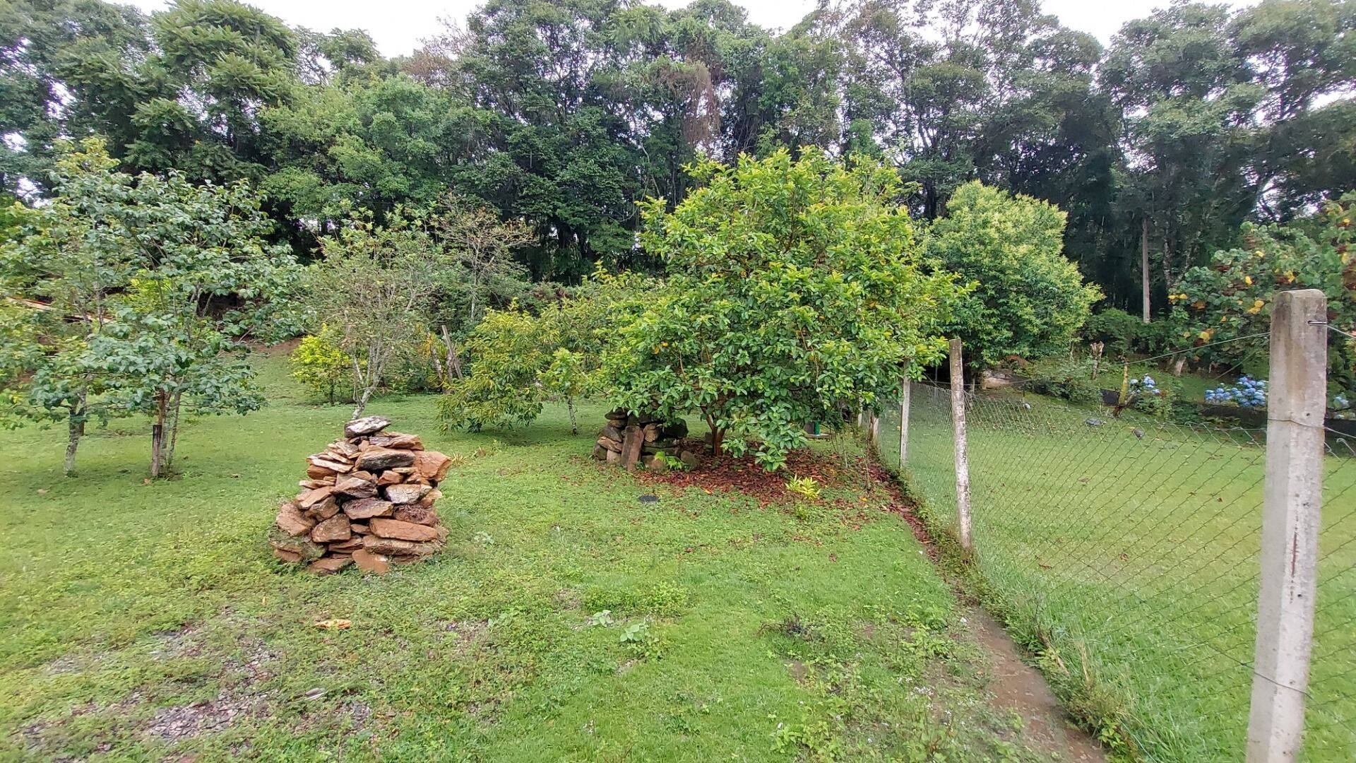 Chácara, 4 quartos, 8000 m² - Foto 19