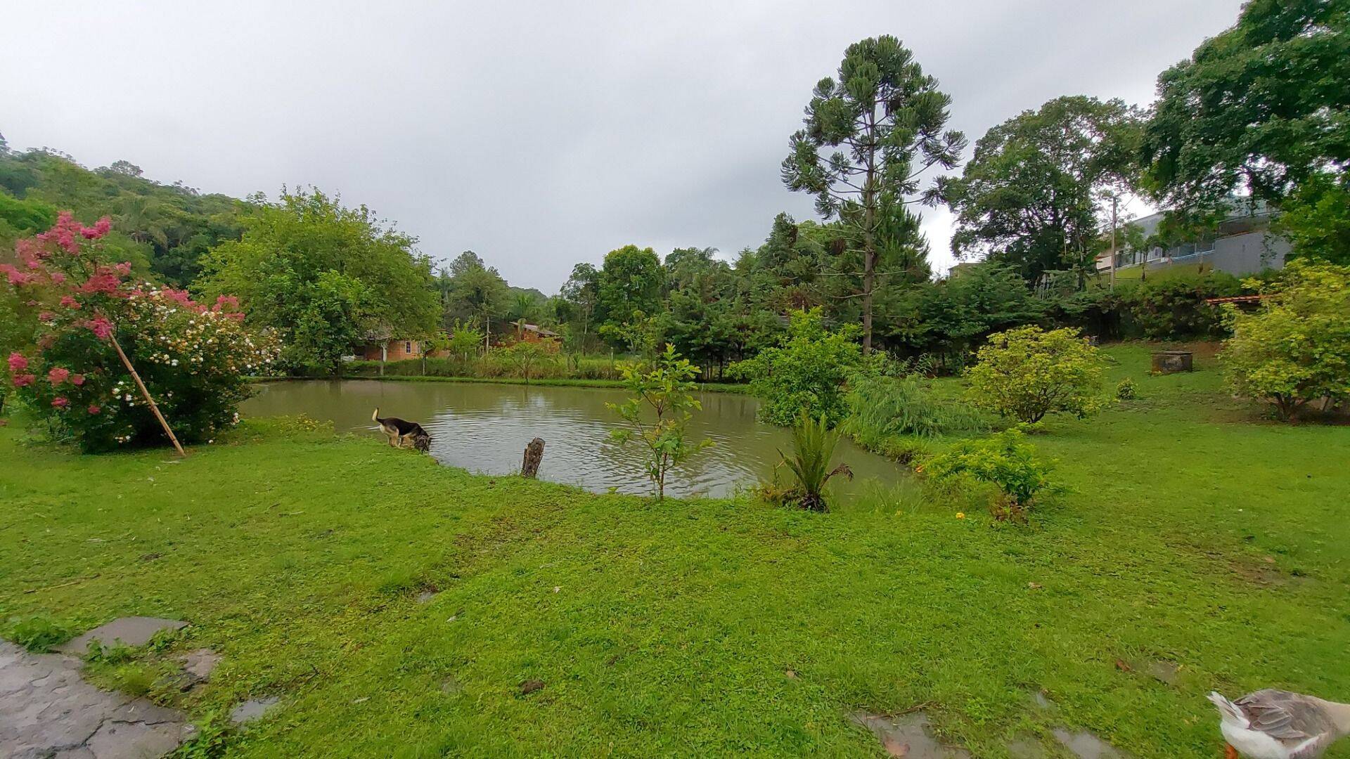 Chácara, 4 quartos, 8000 m² - Foto 23
