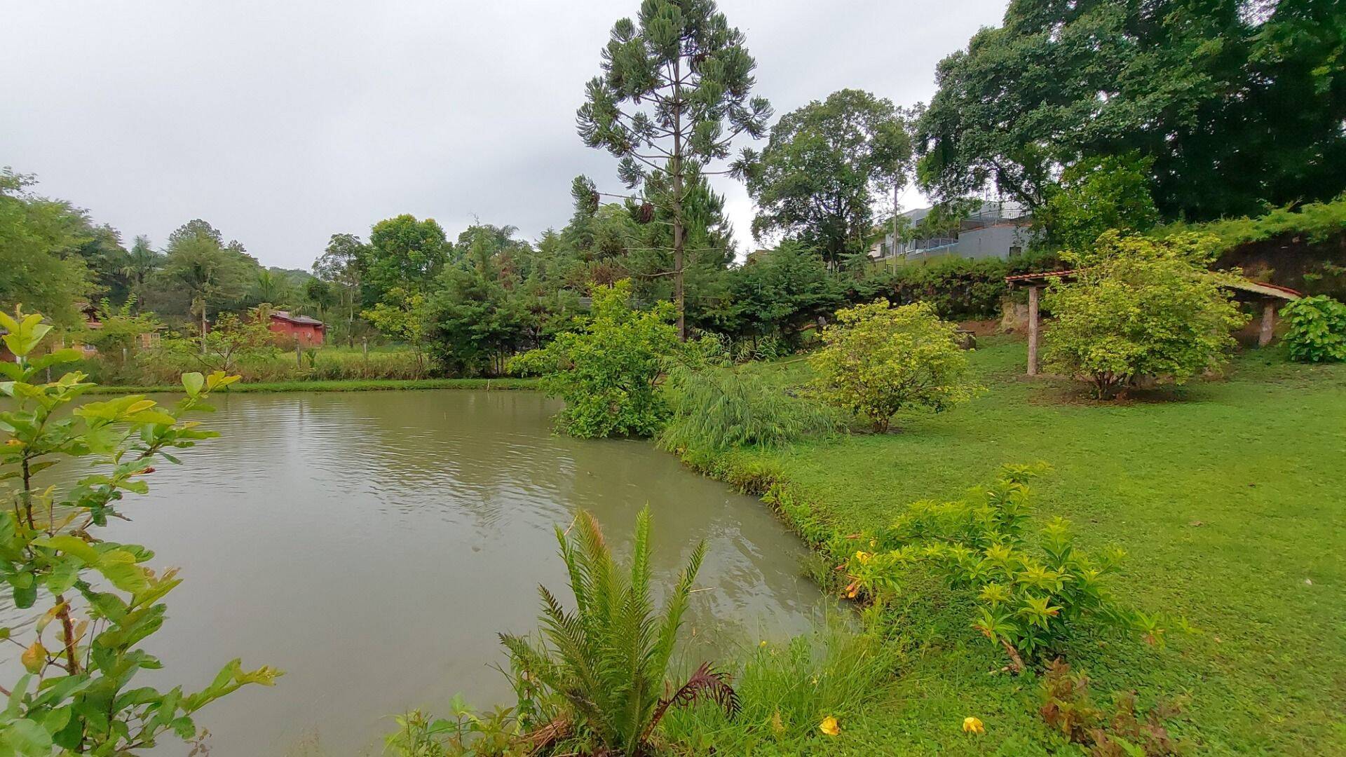 Chácara, 4 quartos, 8000 m² - Foto 24