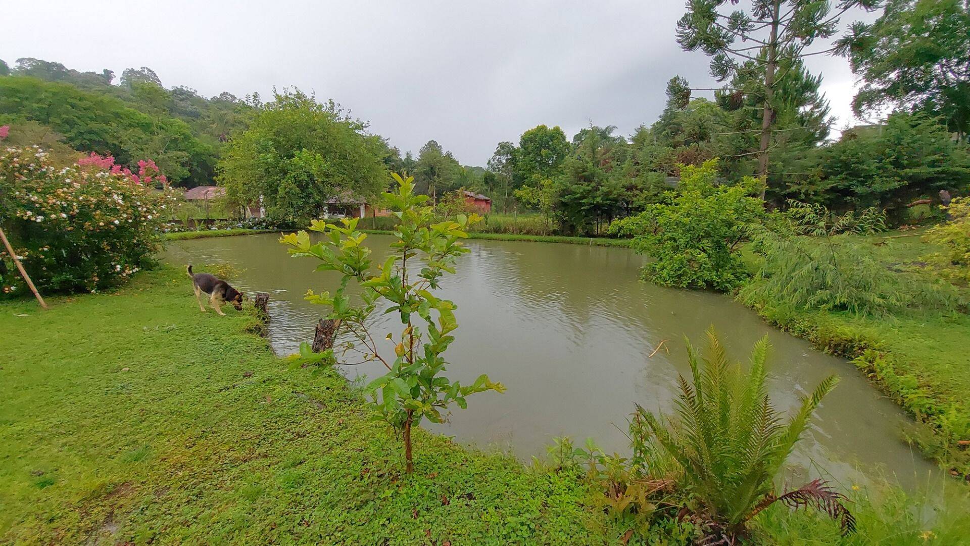 Chácara, 4 quartos, 8000 m² - Foto 25
