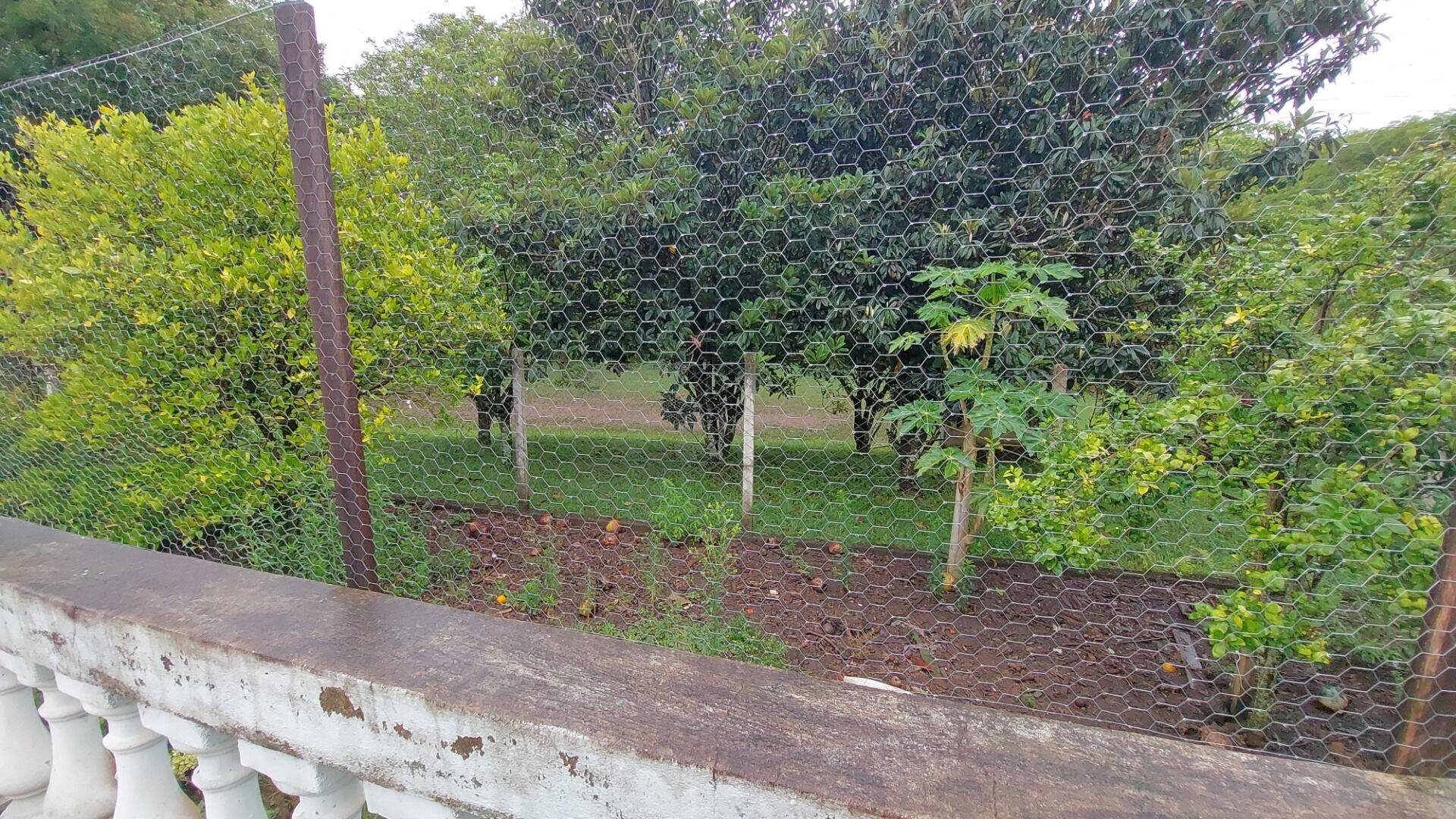 Chácara, 4 quartos, 8000 m² - Foto 46