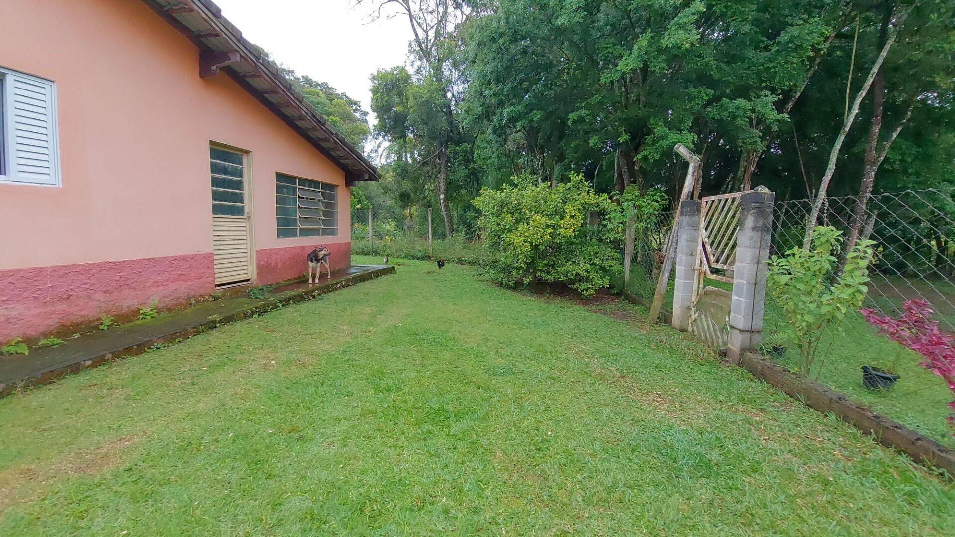 Chácara, 4 quartos, 8000 m² - Foto 54