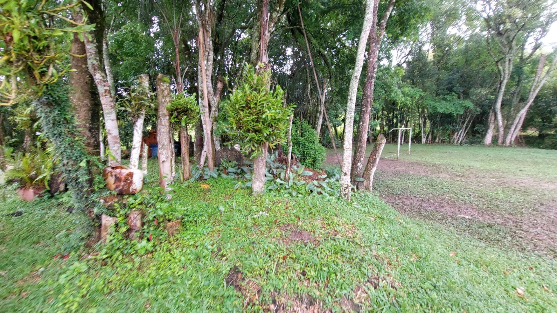 Chácara, 4 quartos, 8000 m² - Foto 57
