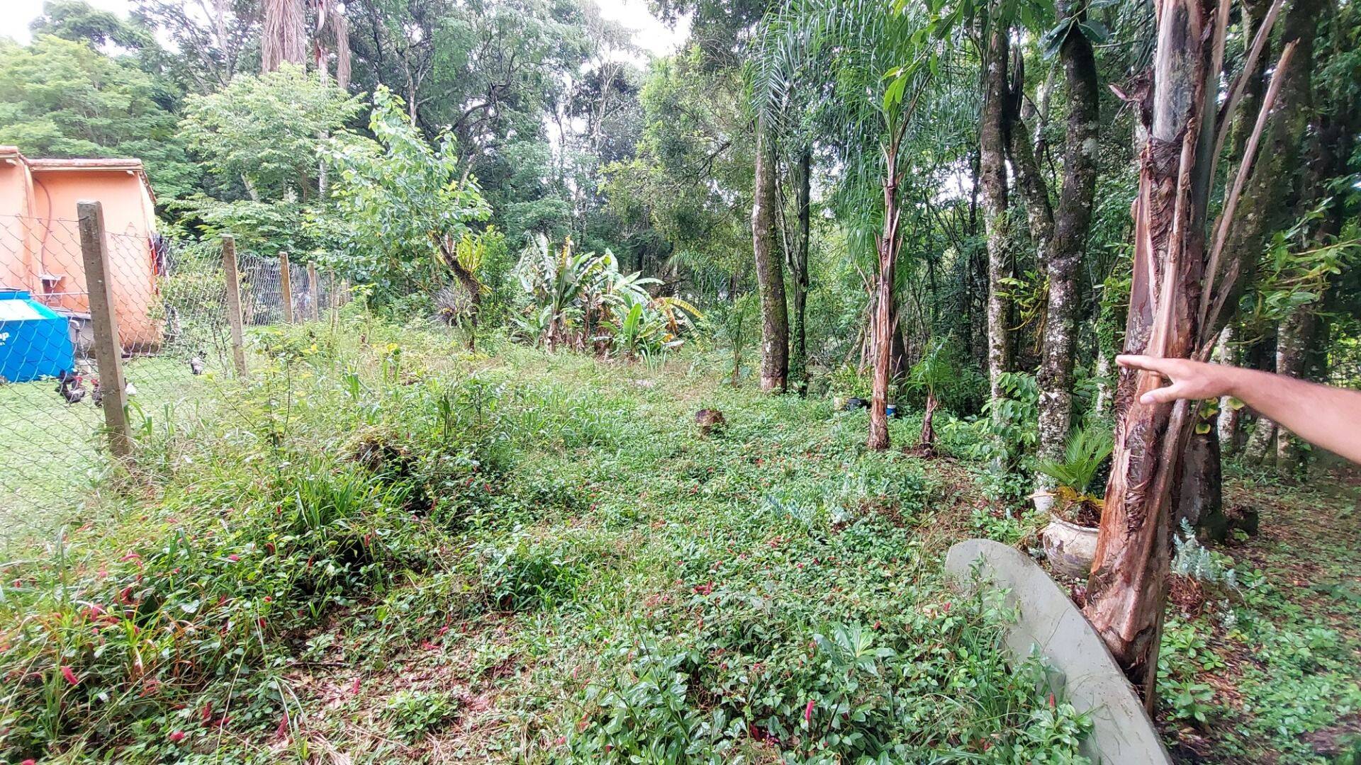 Chácara, 4 quartos, 8000 m² - Foto 59