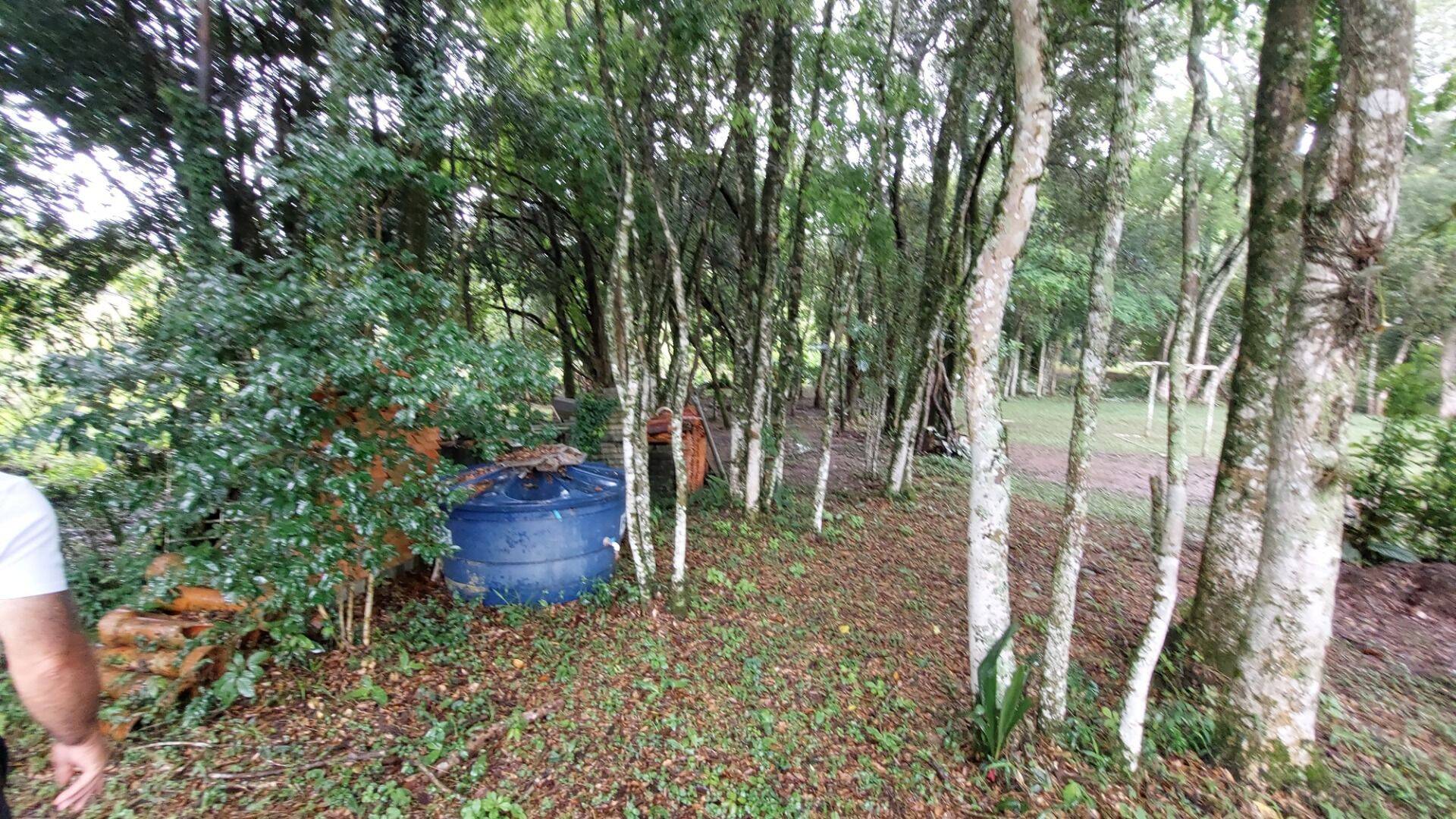 Chácara, 4 quartos, 8000 m² - Foto 60