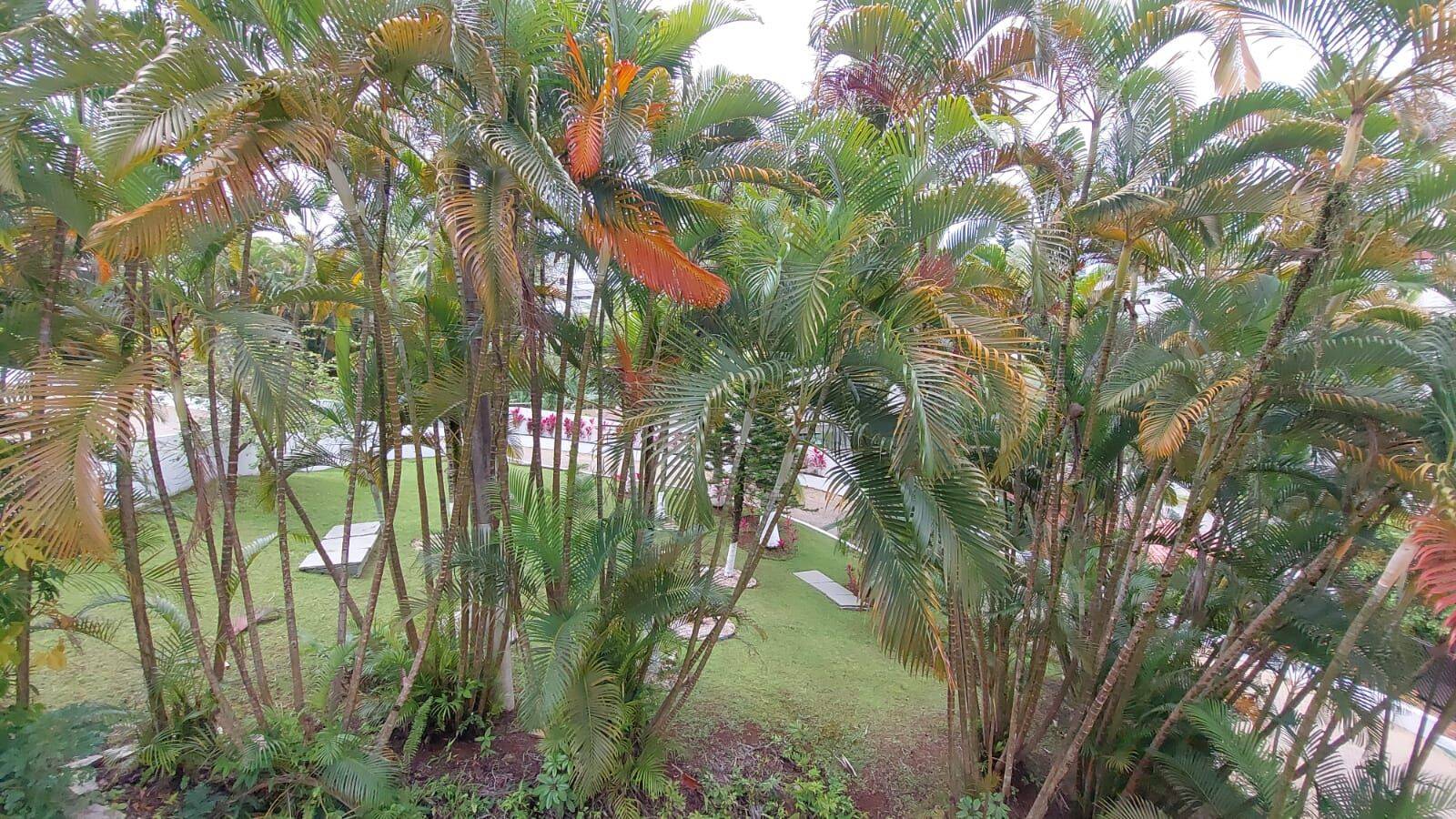 Apartamento, 3 quartos, 87 m² - Foto 49