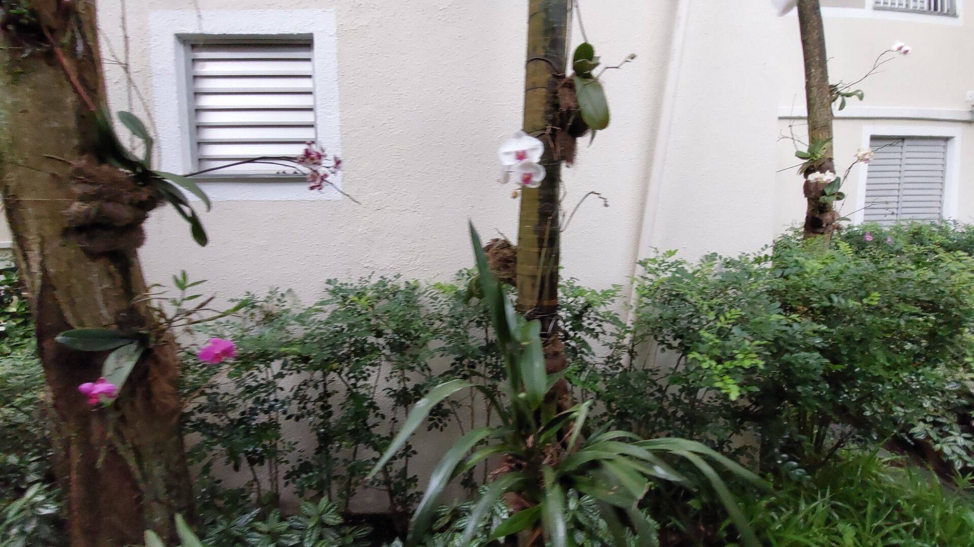 Apartamento, 2 quartos, 50 m² - Foto 52