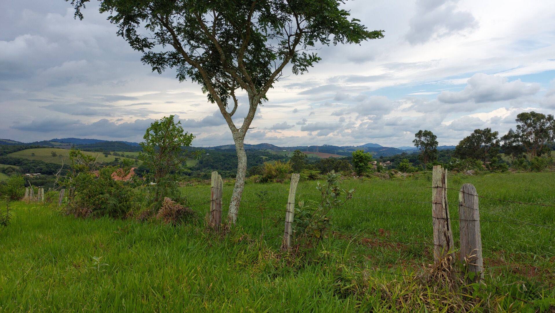 Prédio Inteiro - Foto 5