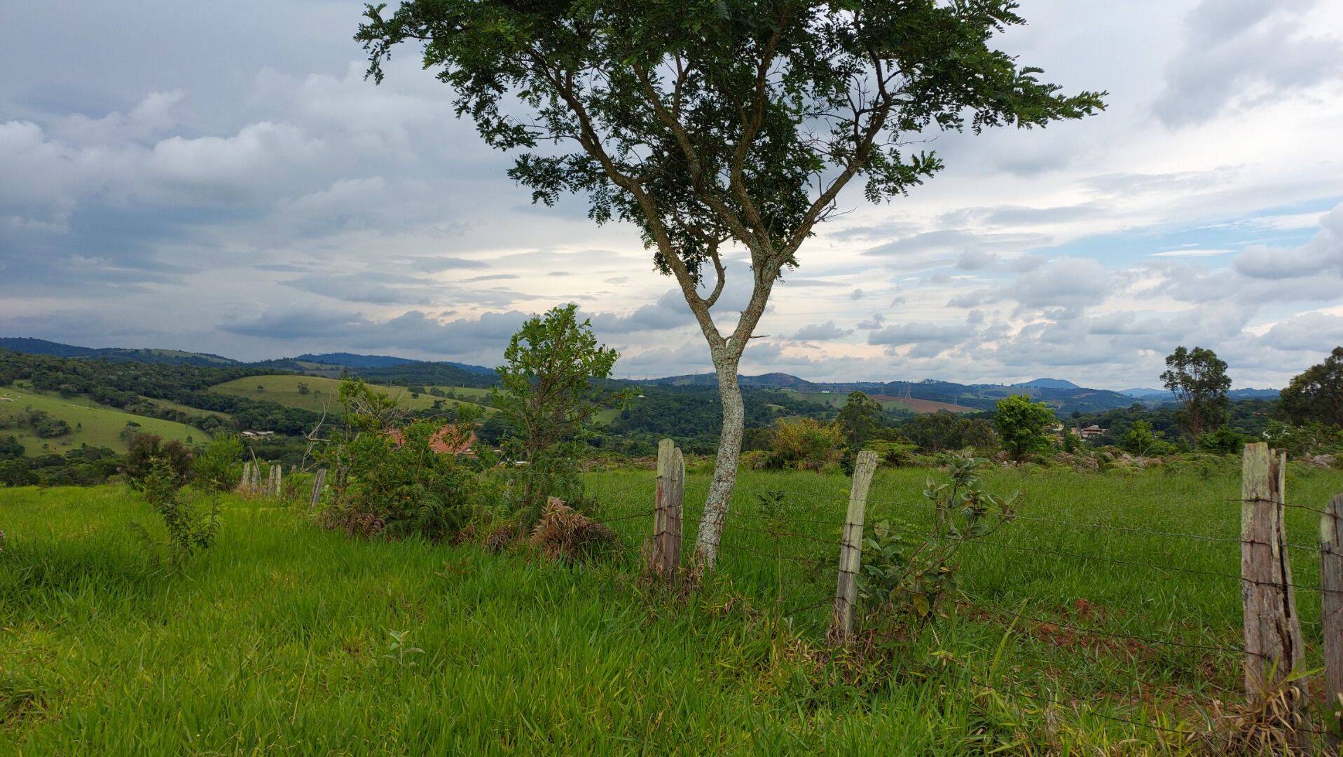 Prédio Inteiro - Foto 6