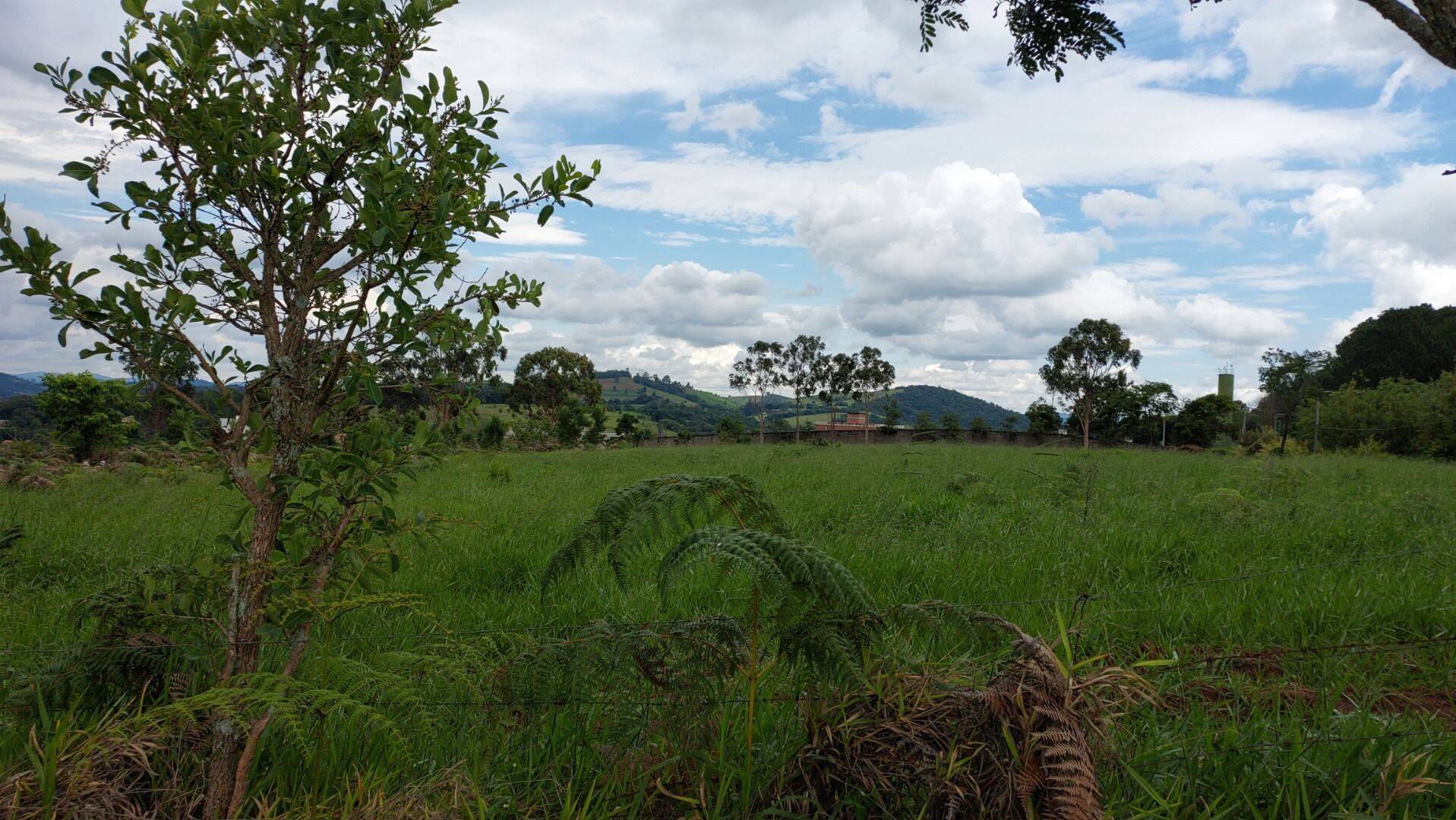 Prédio Inteiro - Foto 1