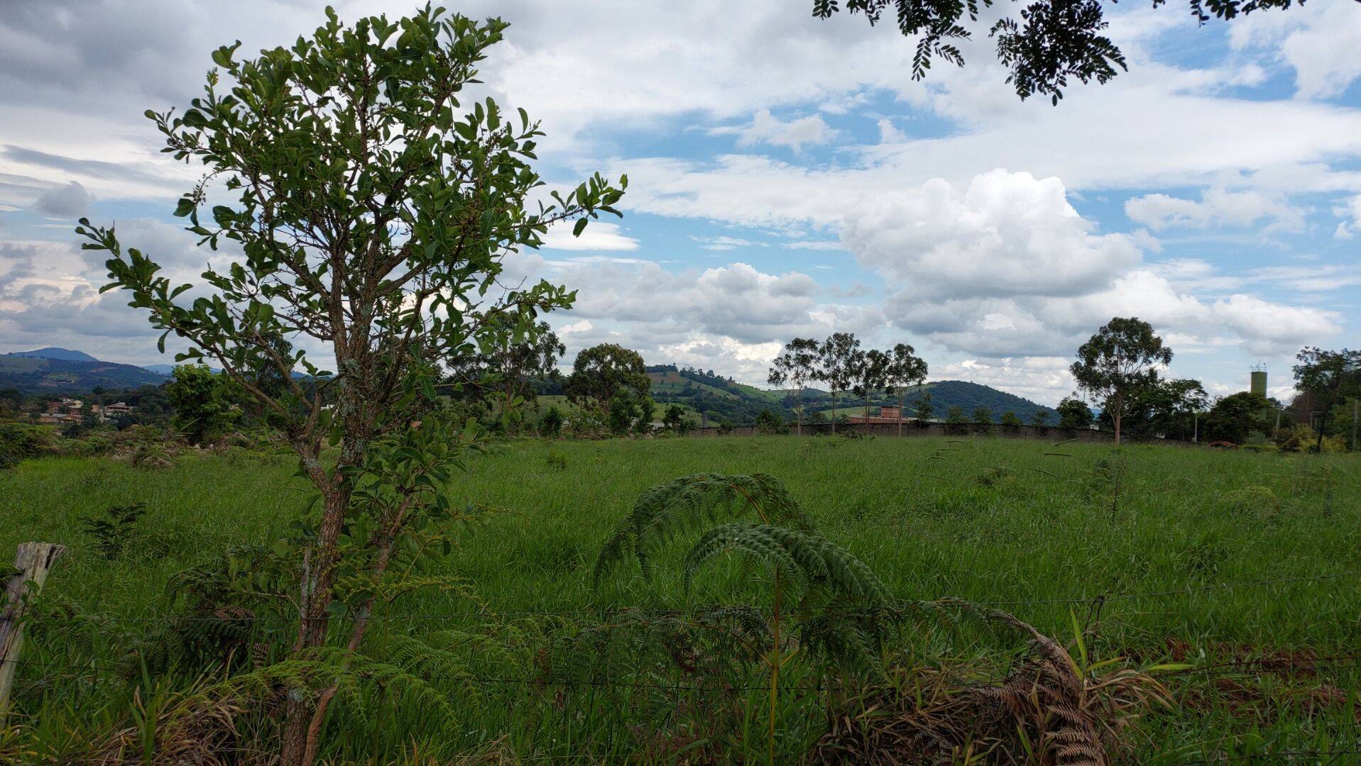 Prédio Inteiro - Foto 12
