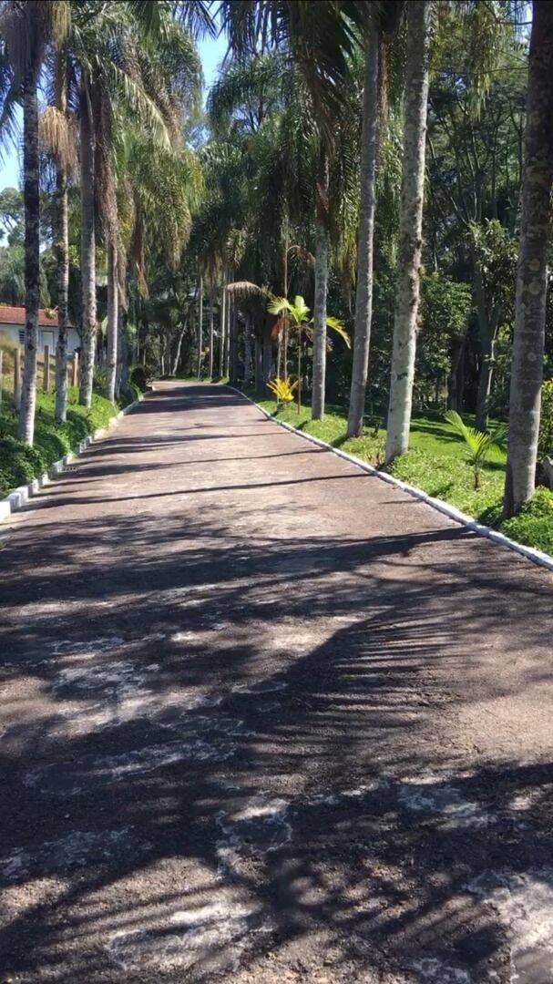 Terreno, 2 hectares - Foto 13