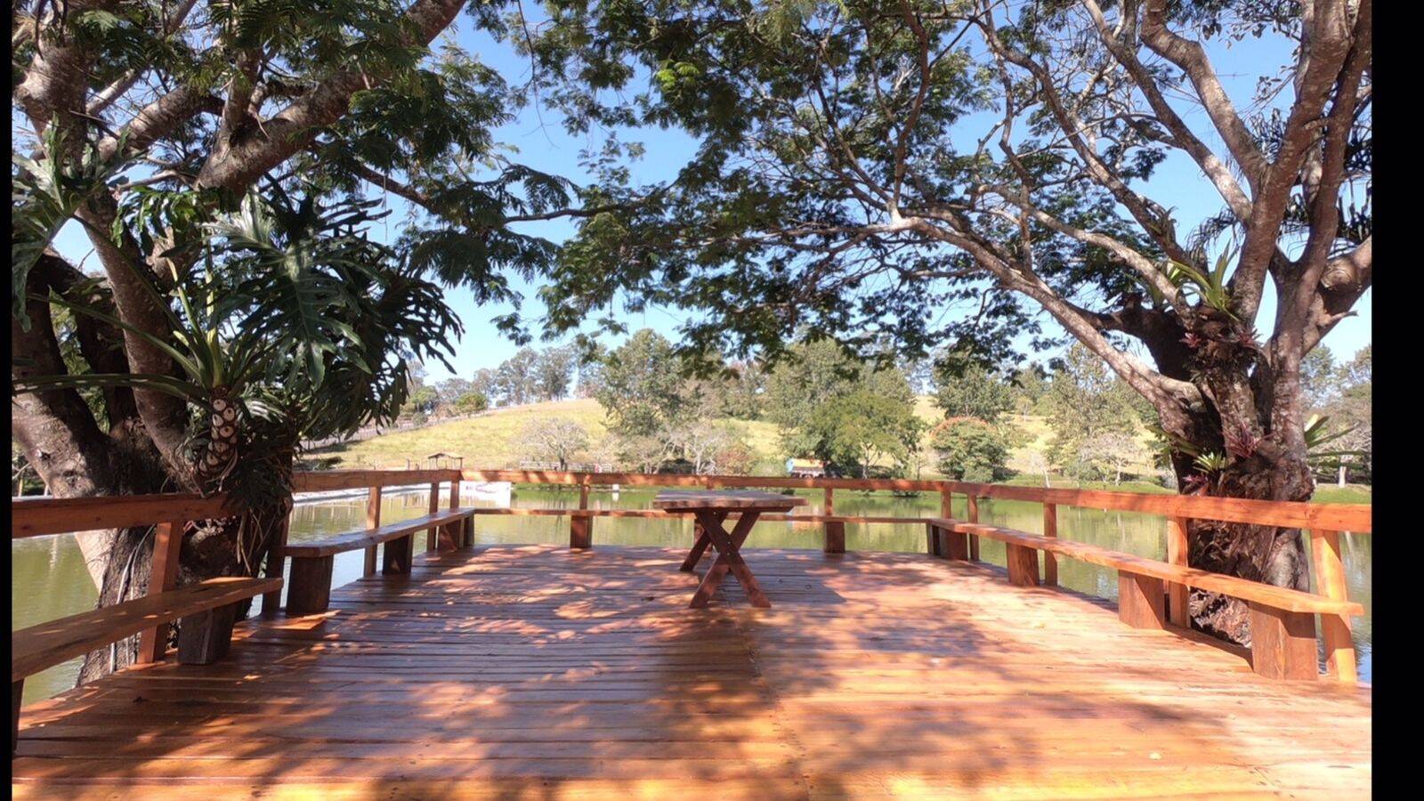 Terreno, 2 hectares - Foto 14
