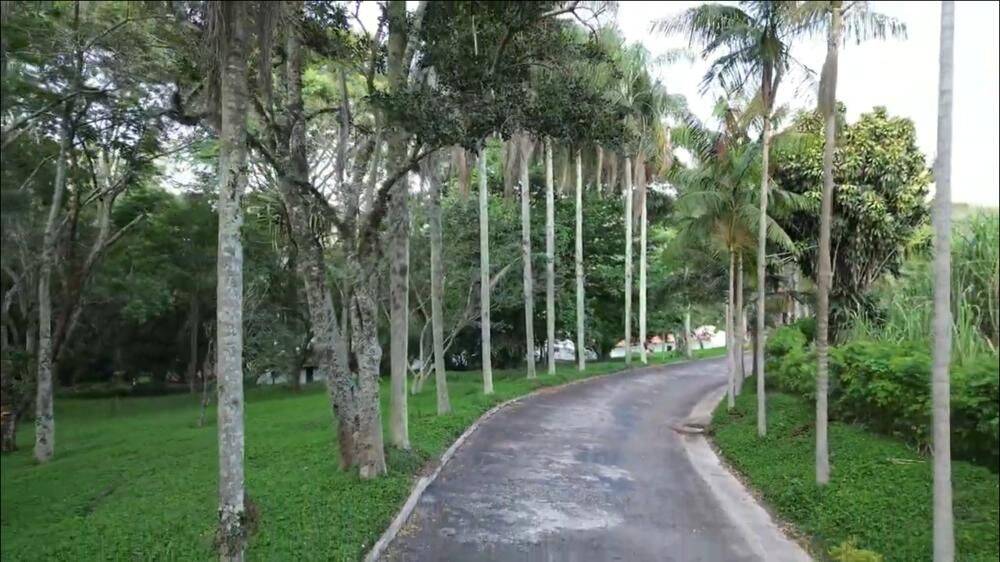 Terreno, 2 hectares - Foto 21