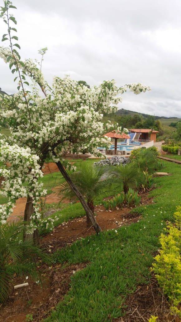 Prédio Inteiro, 450 m² - Foto 34