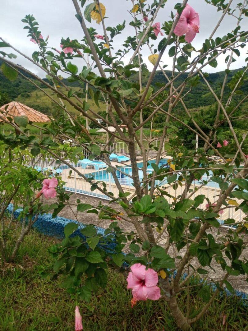 Prédio Inteiro, 450 m² - Foto 42