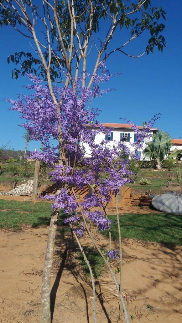 Prédio Inteiro, 450 m² - Foto 45