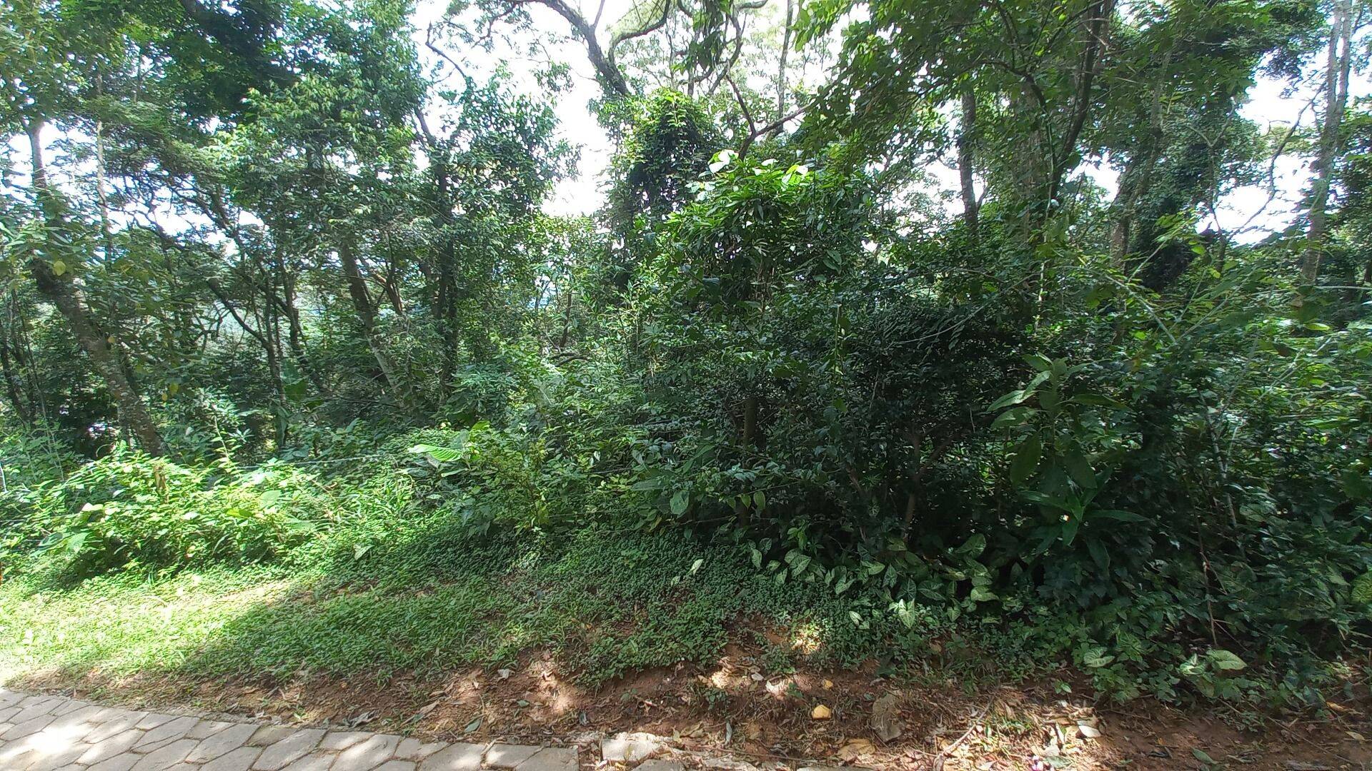 Terreno, 3701 m² - Foto 4