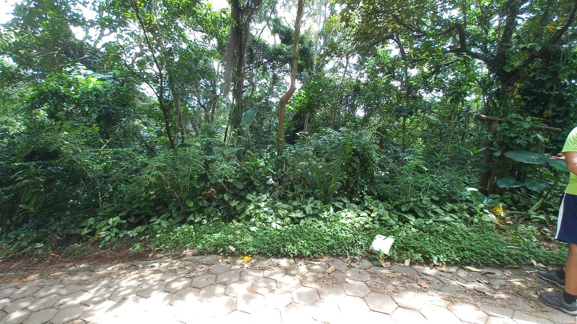 Terreno, 3701 m² - Foto 5