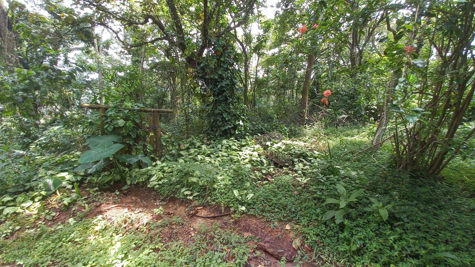 Terreno, 3701 m² - Foto 8