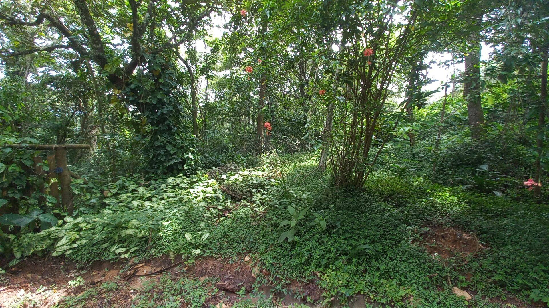 Terreno, 3701 m² - Foto 9