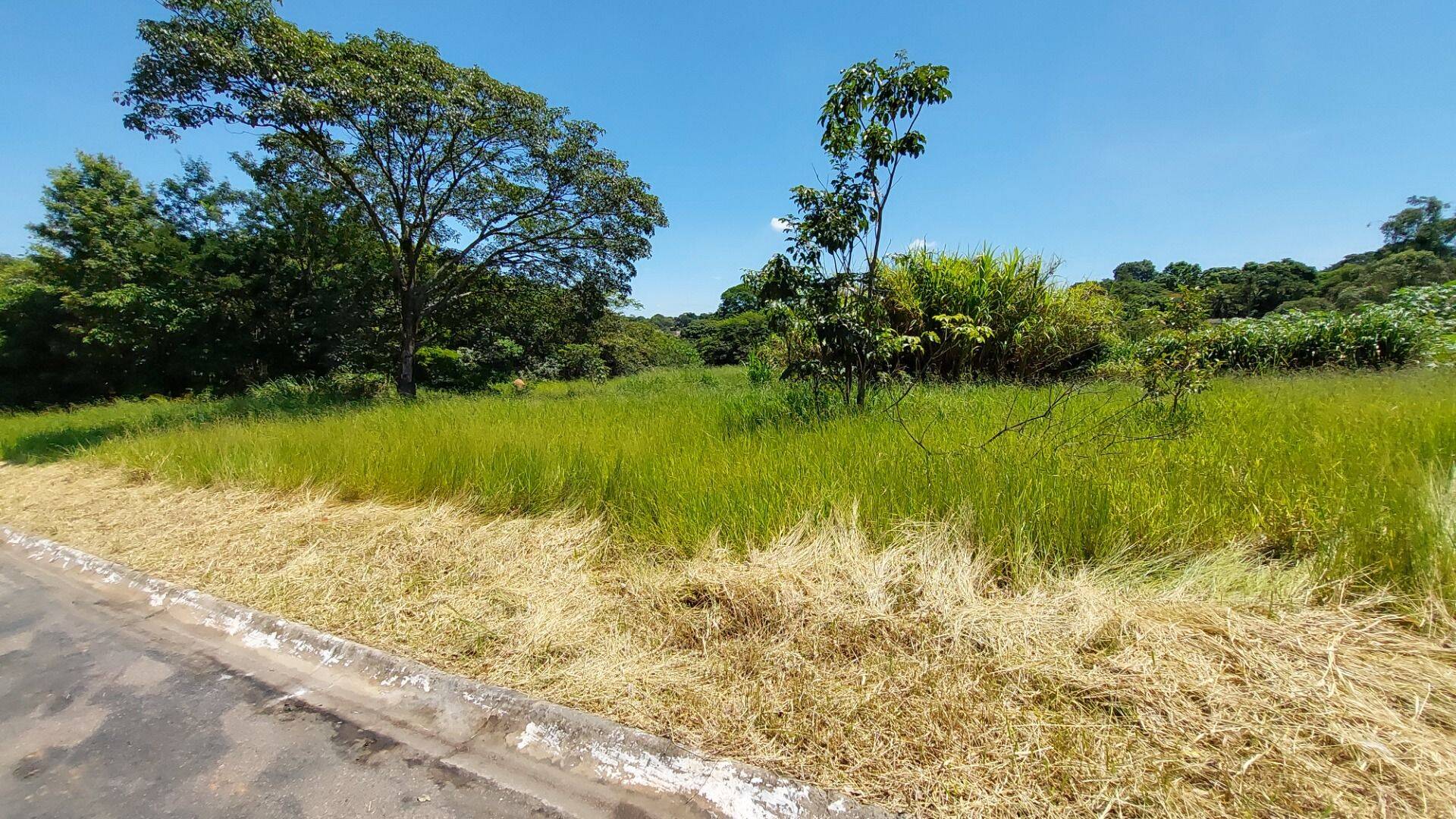 Terreno, 1200 m² - Foto 1
