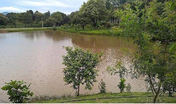 Terreno, 656 m² - Foto 16