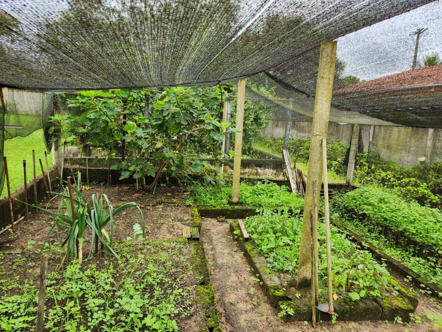Chácara, 3 quartos, 1704 m² - Foto 40