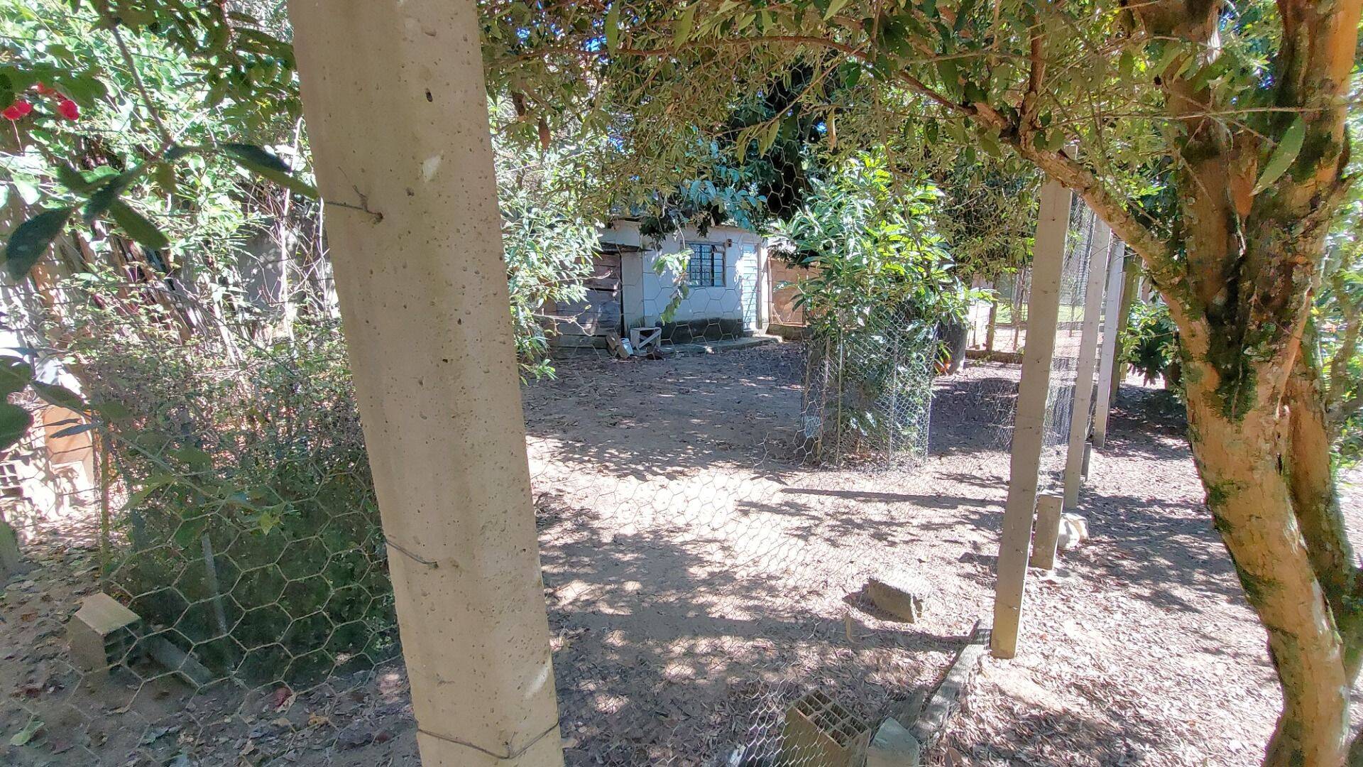 Chácara, 3 quartos, 1704 m² - Foto 47