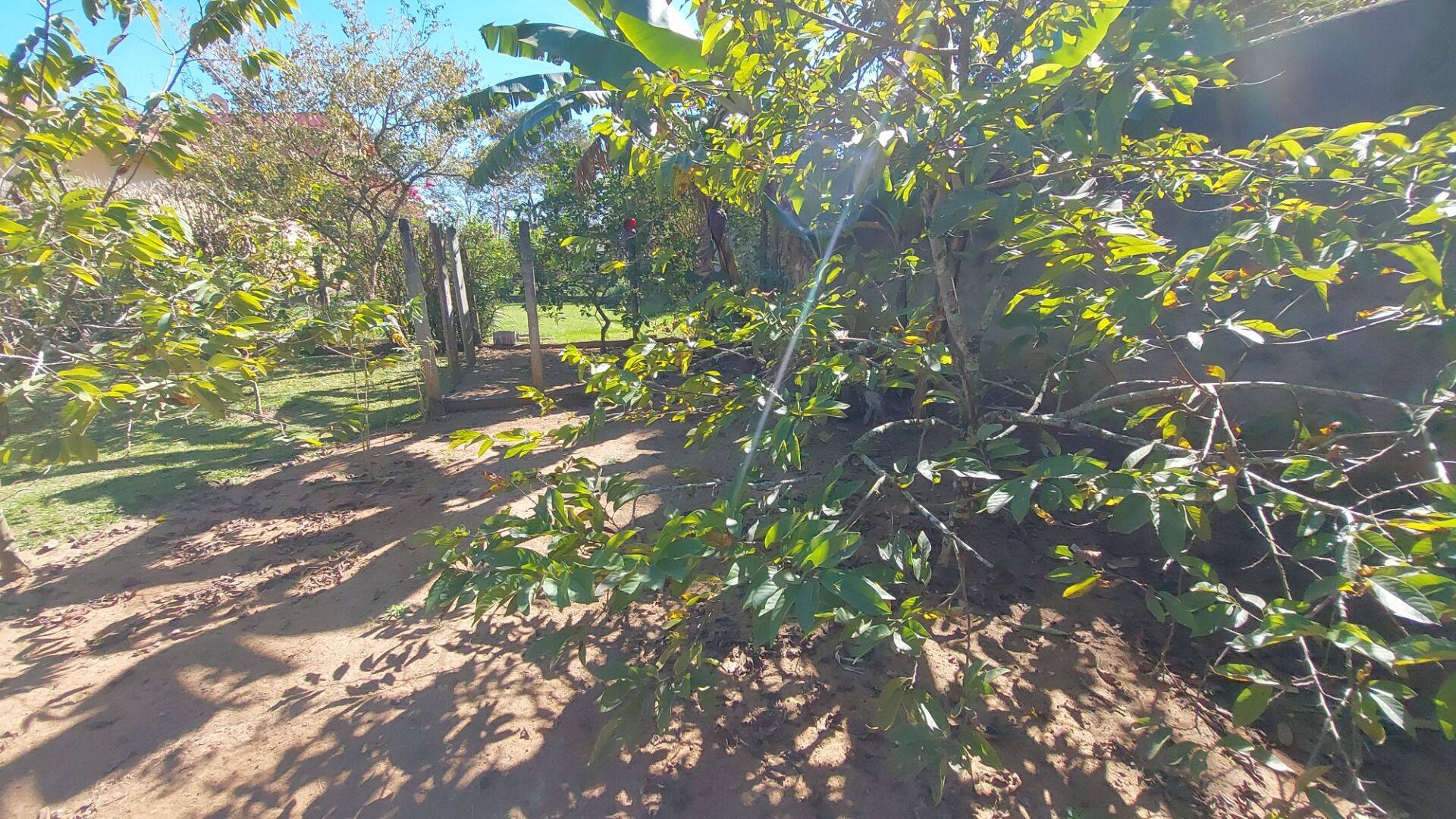 Chácara, 3 quartos, 1704 m² - Foto 49