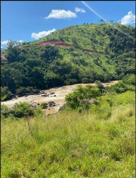 Fazenda, 160 hectares - Foto 13