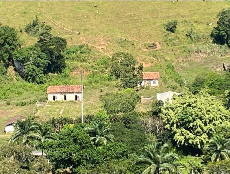 Fazenda, 160 hectares - Foto 14