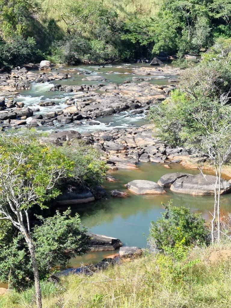 Fazenda, 160 hectares - Foto 22