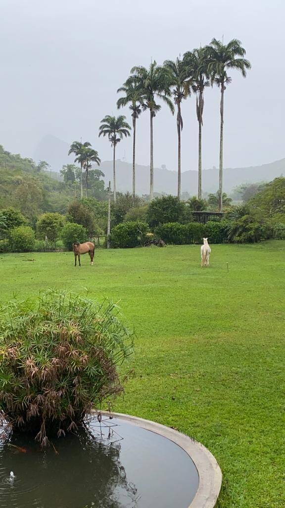 Fazenda, 160 hectares - Foto 30