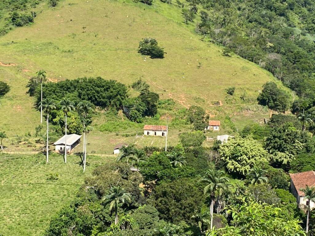 Fazenda, 160 hectares - Foto 40