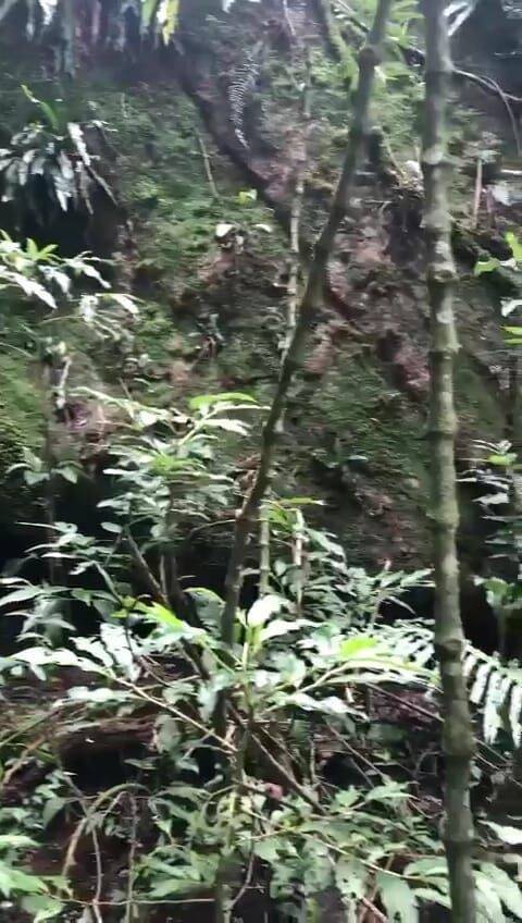 Fazenda, 69 hectares - Foto 21