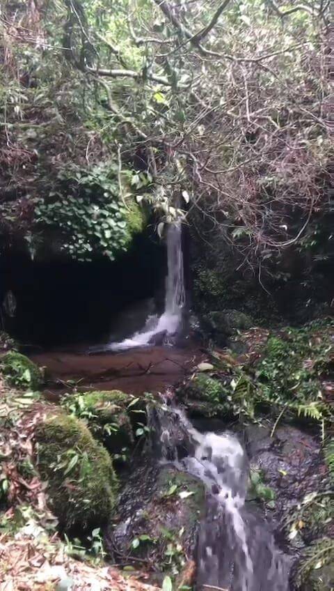 Fazenda, 69 hectares - Foto 23