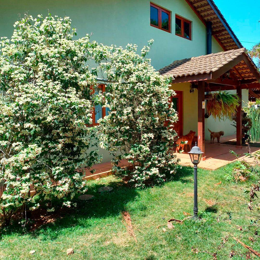 Chácara, 3 quartos, 1100 m² - Foto 4