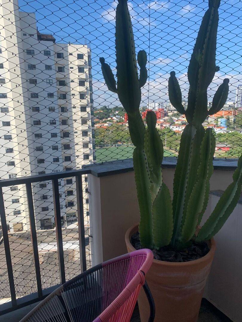 Apartamento, 3 quartos, 146 m² - Foto 10