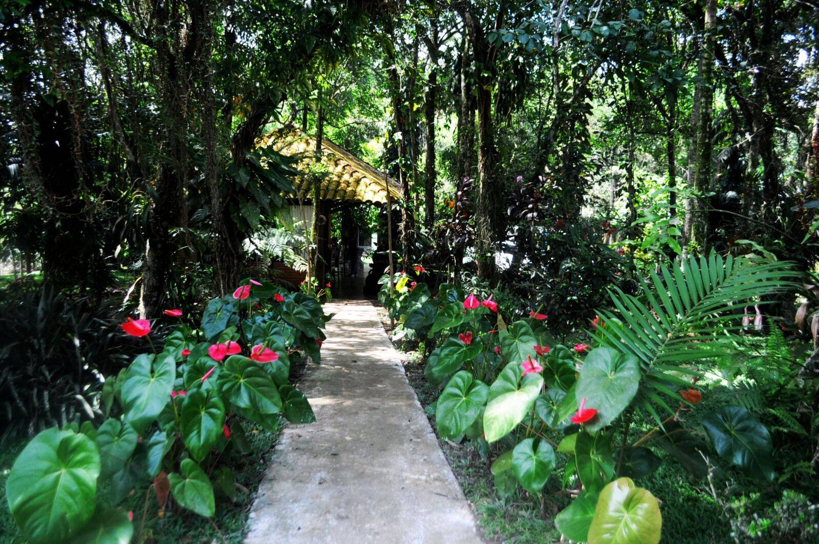 Chácara, 3 quartos, 5787 m² - Foto 4