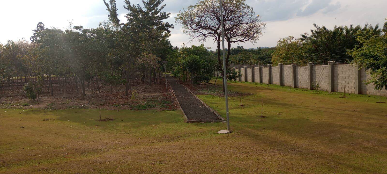 Terreno, 200 m² - Foto 4