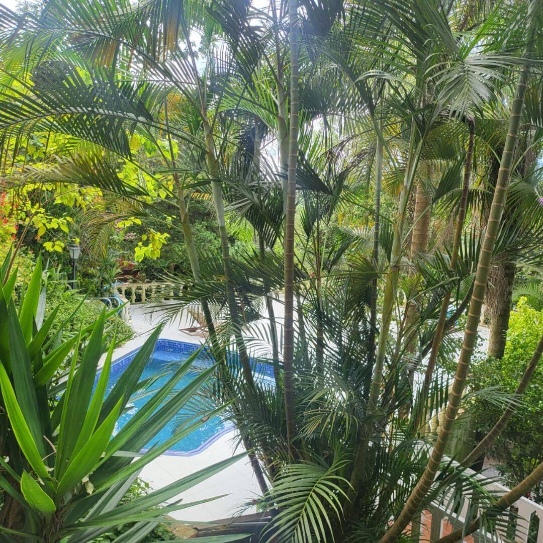 Casa, 4 quartos - Foto 6